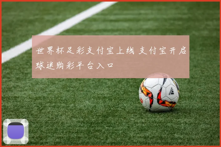 世界杯足彩支付宝上线 支付宝开启球迷购彩平台入口
