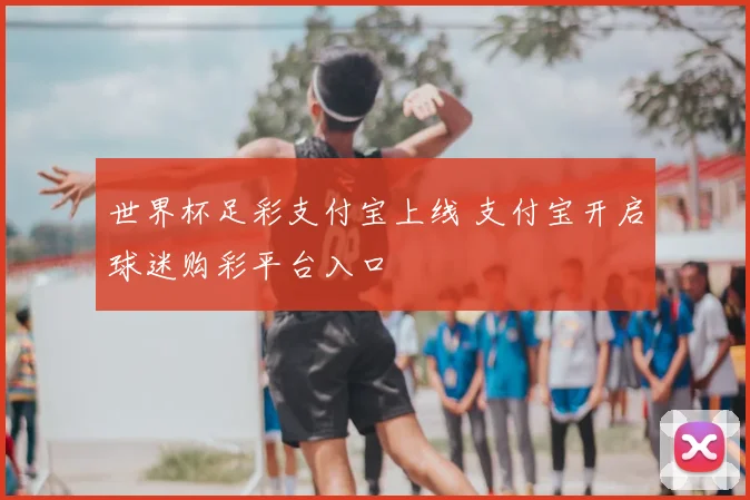 世界杯足彩支付宝上线 支付宝开启球迷购彩平台入口