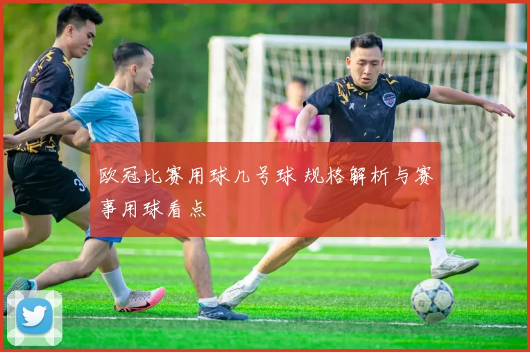 欧冠比赛用球几号球 规格解析与赛事用球看点